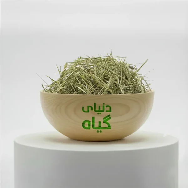 خرید مخلصه